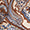 Brown Paisley Swatch