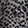 Charcoal Leopard Swatch