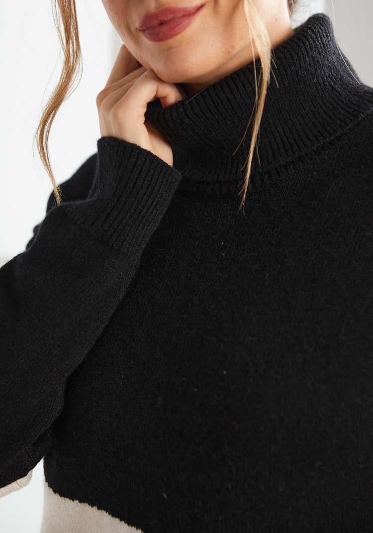 Colorblock Turtleneck (Black)