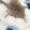 Brown Navy Print Swatch