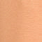 Rust Swatch